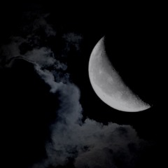 Requiem For A lost Summer