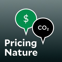 5. The Conservative Case for Carbon Pricing