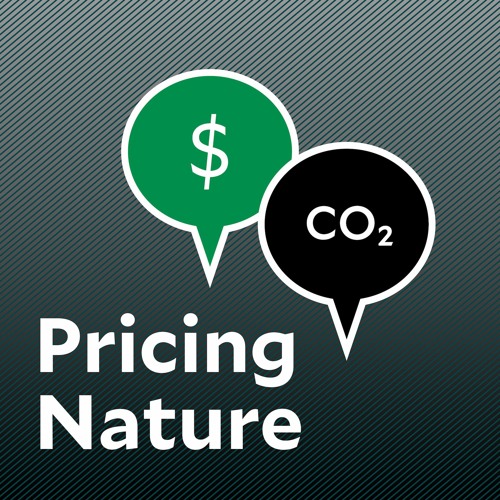 1. Intro to Carbon Pricing