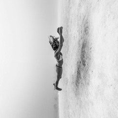 Roy Rosenfeld, Sebastien Leger - Veetoo