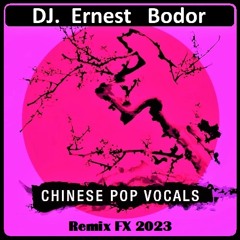 FL Chinese Pop Vocals Remix FX 2023