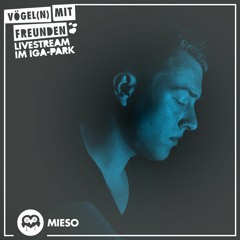 MIESO • Vögel(n) mit Freunden meets Zwischenbau Rostock 05.09.2020