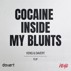 Disco Lines - Cocaine In My Blunts (davert + veng flip)
