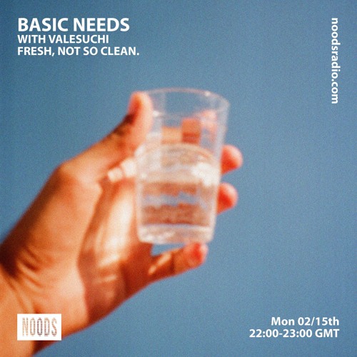Basic Needs with Valesuchi - "Fresh, not so clean."