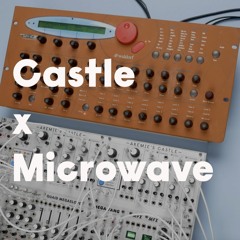 Castle x Microwave