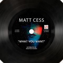 Matt Cess - What You Want (Original Mix) Free Download