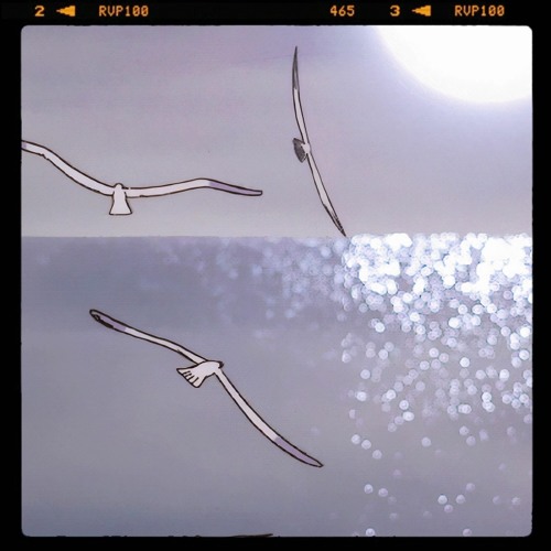 TEESHIR w/ s e i s a n