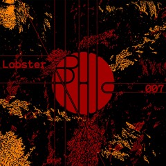 Orphic community .007 - Lobster