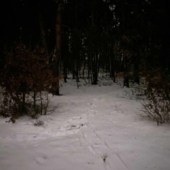 sokrates.wav//&404lunar