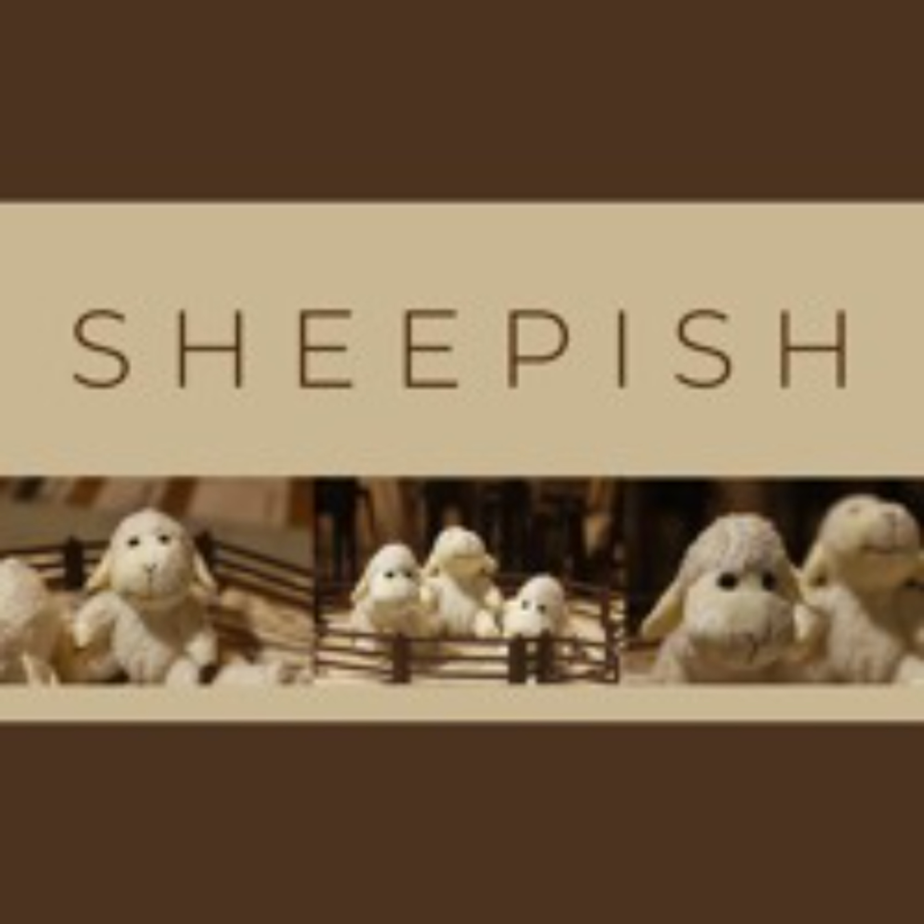 1 OF 4 FEB 2023 | SHEEPISH episode artwork