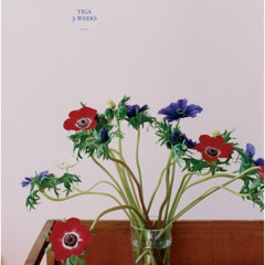 3 Weeks (Booka Shade Vocal Mix)