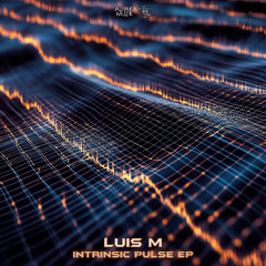 Luis M - Intrinsic Pulse (Original Mix)  **PREVIEW**