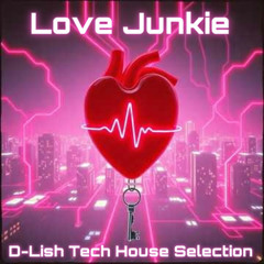 Love Junkie - Tech House Selection