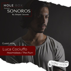 Hole Box Presents Sonoros Episode 14 - Guest Mix Luca Cociuuffo - February 2022