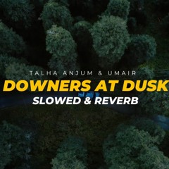 Downers At Dusk (Slowed & Reverb) Talha Anjum | Prod. by Umair - Heart Snapped