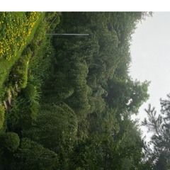 그댄 봄비를 무척 좋아 하나요 (cover)