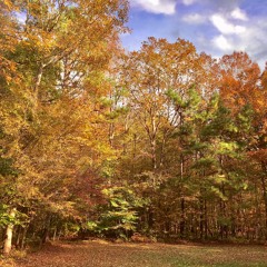 Back East
