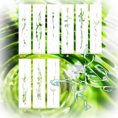 www797f87a80g7ae80gjhh