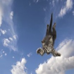 can'ttrustyou :,( @mee45 #tearyourheart #25r3set