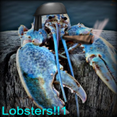 Rock lobster hoodtrap