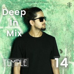 Deep In Mix 14 with TEMPLE