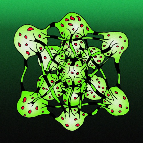 An enlightenment that never happened