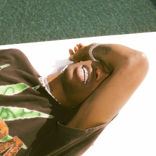 Travis Scott - SUBURBS AT NIGHT