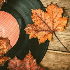 Garçon Funk Vinyl Autumn - Winter 2023