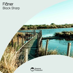 Black Sharp - Flâner