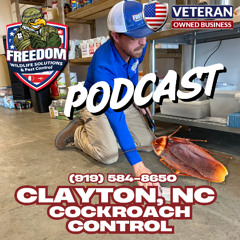 Roach Control, Clayton NC