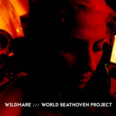 Wildmare - On Beethoven's theme from '5th Symphony_1st Movement'