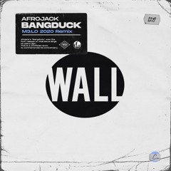 Afrojack - Bangduck (M3:LO 2020 Remix)