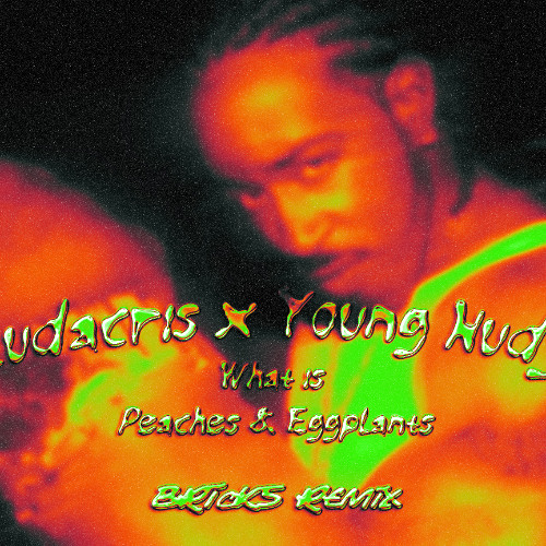 Ludacris x Young Nudy - What is Peaches & Eggplants ( BRIcK5 Remix )