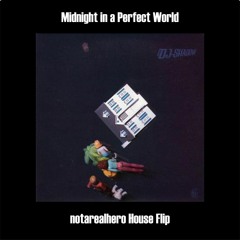 DJ Shadow - Midnight In A Perfect World (notarealhero House Flip)