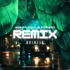 WISH I COULD FORGET x ÁGUILA DEL MONTE (QUINTEN Mashup)