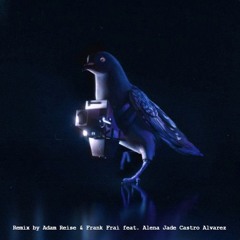 Stimming - Keys Don't Match (Adam Reise Remix)