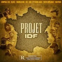 Projet IDF (feat SKVRLA MS, MUFASA, ALMZ, D2i, Yaya impliqué, Python loco, K2, Crapule)