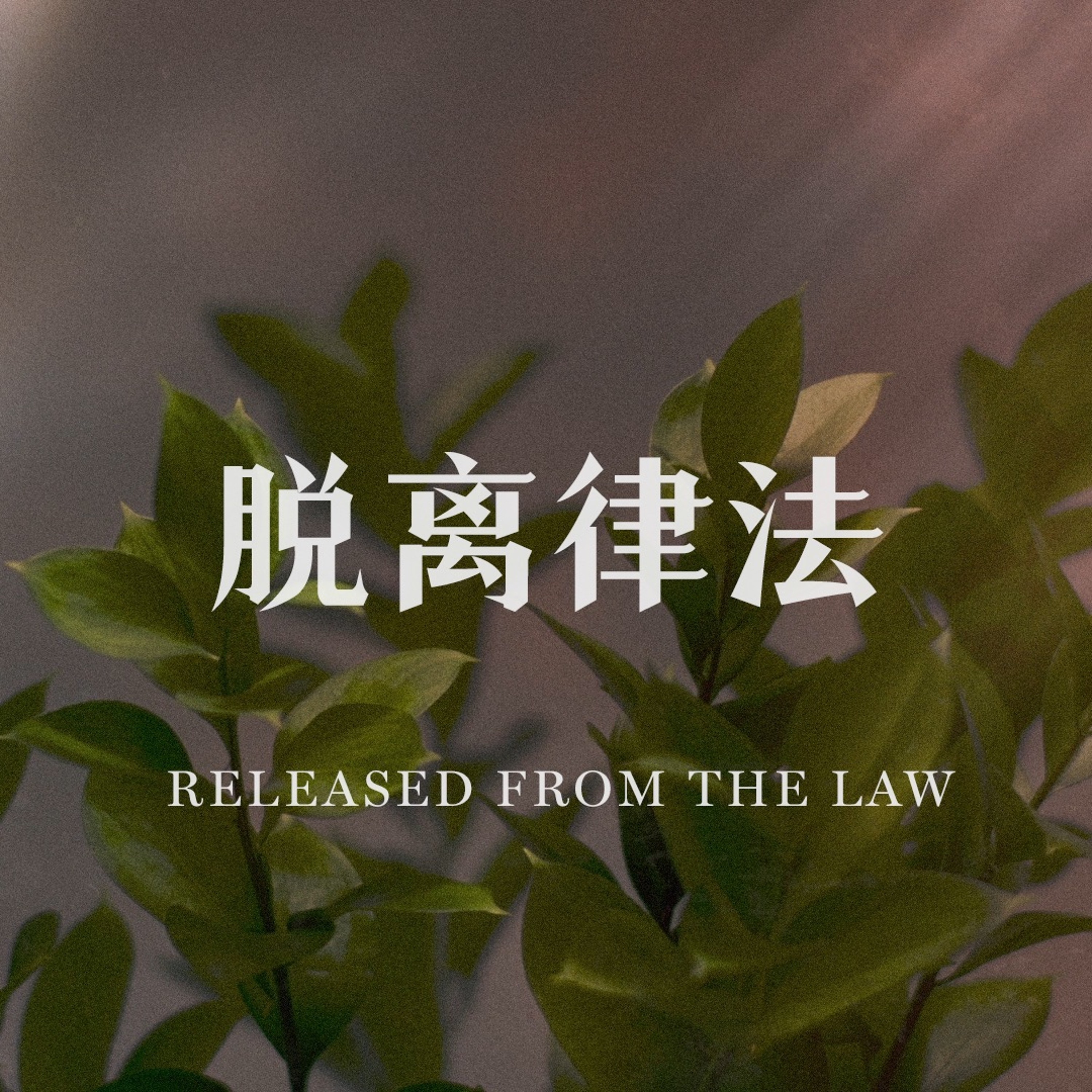 05/05/2024 【罗马书】脱离律法（罗 7:1-6）——王唯权 牧师 episode artwork
