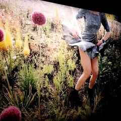 이찬혁비디오 - 춤 (Vocal. 신세휘) (Cover)