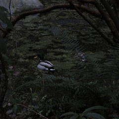 all that survives of us is love