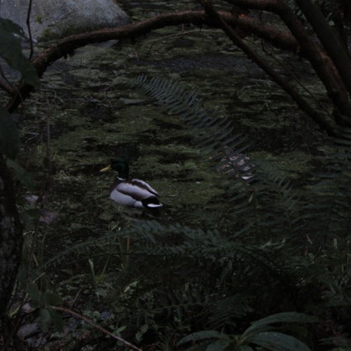 all that survives of us is love