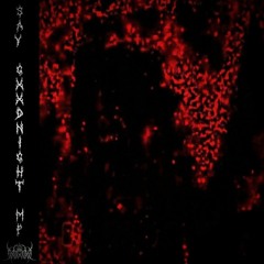 GXDSPACE - SAY GXXDNIGHT MF ($APPMANE DISS)