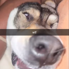 WHOS THAT