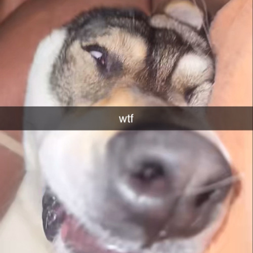 WHOS THAT