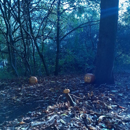 usof - Creepy Crawlies