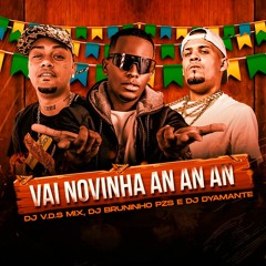 VAI NOVINHA AN AN AN - DJ V.D.S Mix, DJ Bruninho PZS e DJ Dyamante