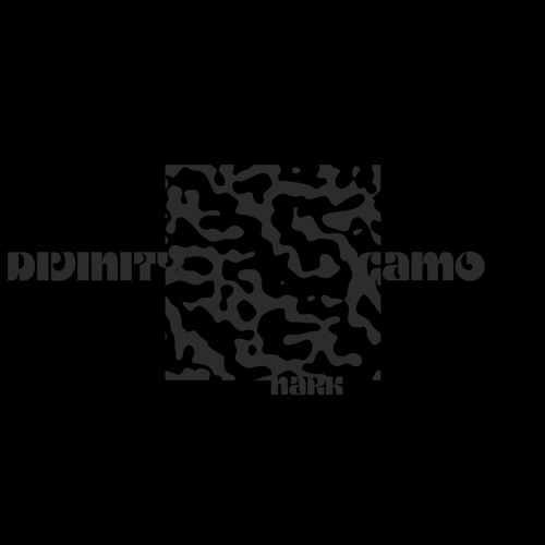 Divinity Camo
