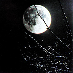 night moon (feat. SABU)