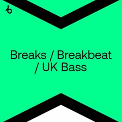THESE ARE THE BREAKS | BREAKS / BREAKBEAT / UK BASS MIX
