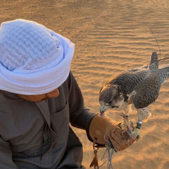 ‎🦅تجهزو ماعد فيها معاذير⁩